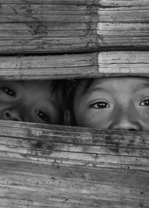 hass_heroportrait-1588420820089